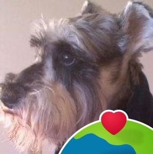 Meet your Posher, Gustavo